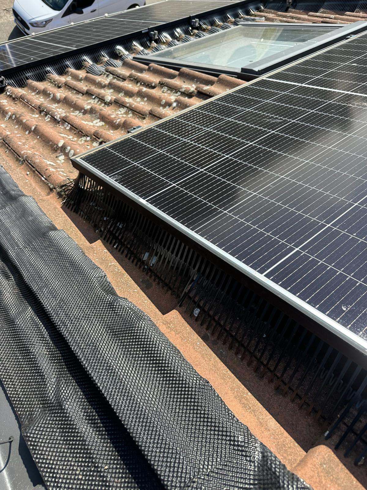 Zonnepanelen met vogelwering rond een dakraam